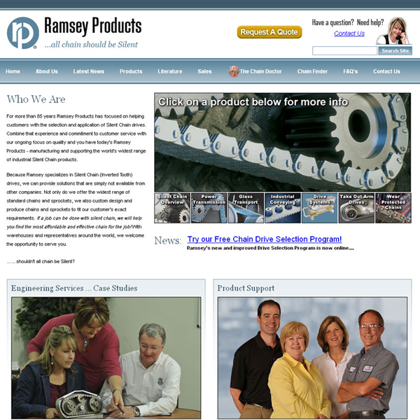 Ramsey 2010 cost effective website redesign